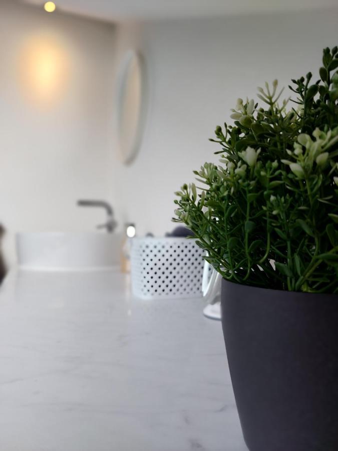 Ferienwohnung Suedhang Βίντερμπεργκ Εξωτερικό φωτογραφία